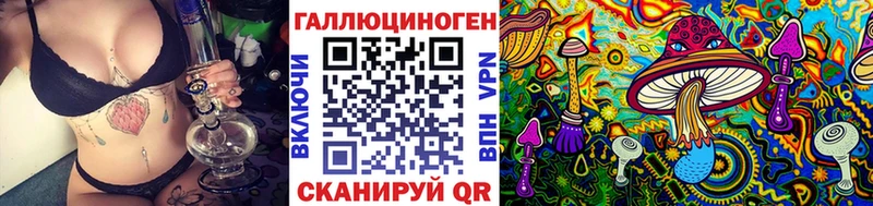 где купить наркотик  Энем  Галлюциногенные грибы Cubensis 